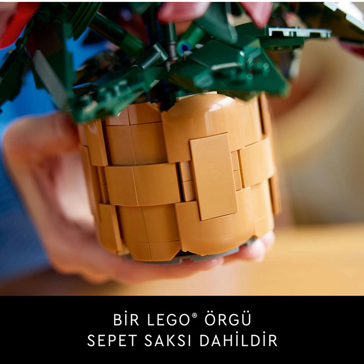 LEGO Botanicals Ponsetya - 608 Parça (10370) — görsel 4