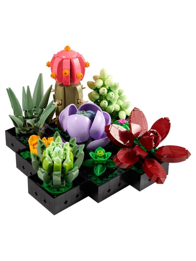 LEGO Botanicals Sukulentler - 771 Parça (10309) — görsel 2