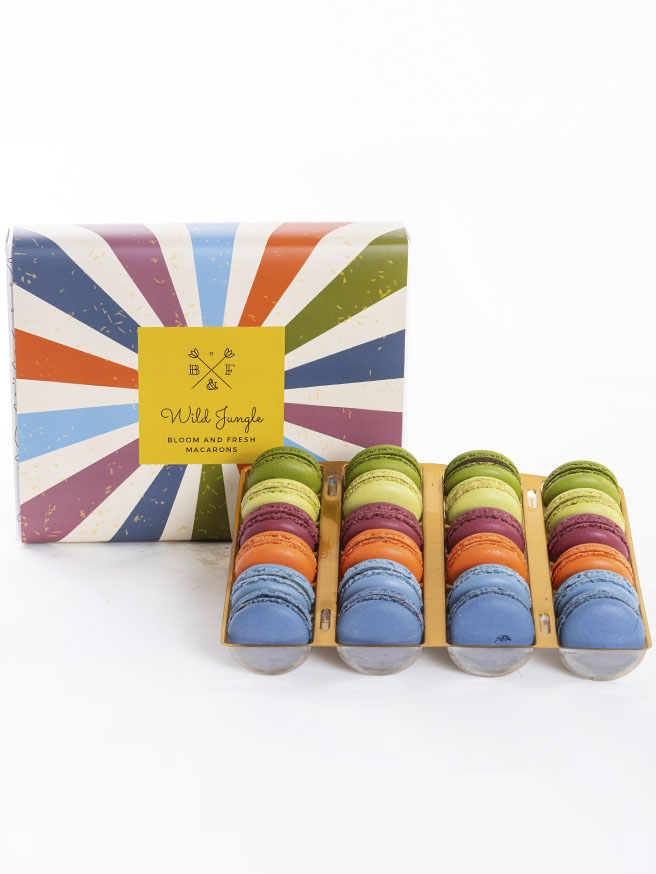 Wild Jungle Macarons (24'lü) — görsel 1
