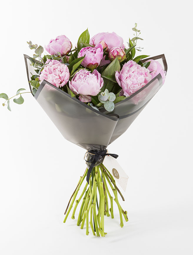 Pink Peonies — görsel 1
