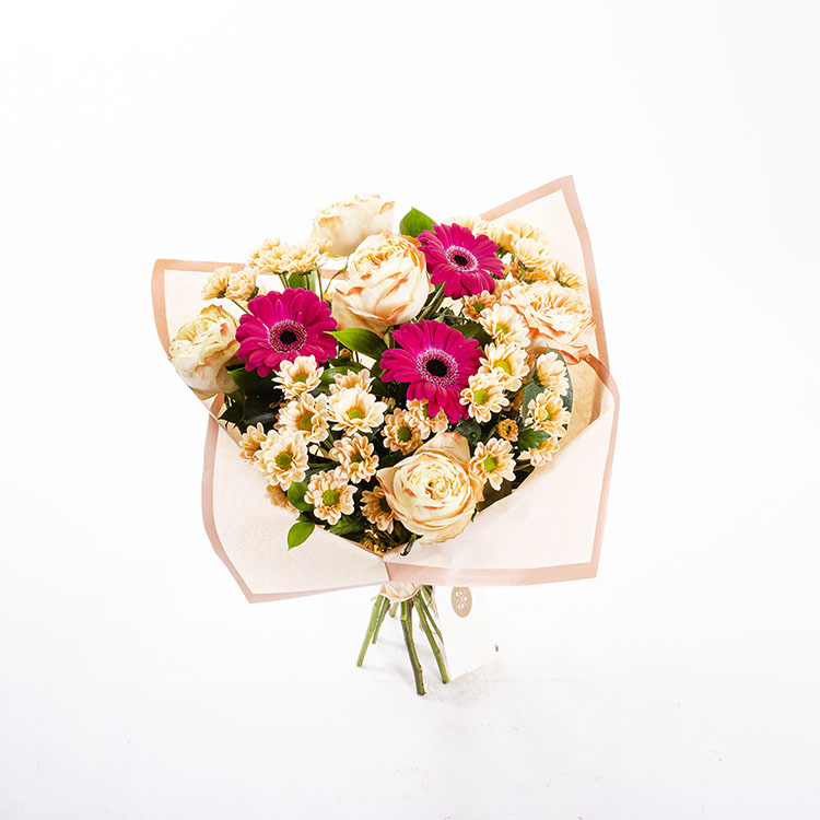 Bellini — görsel 4