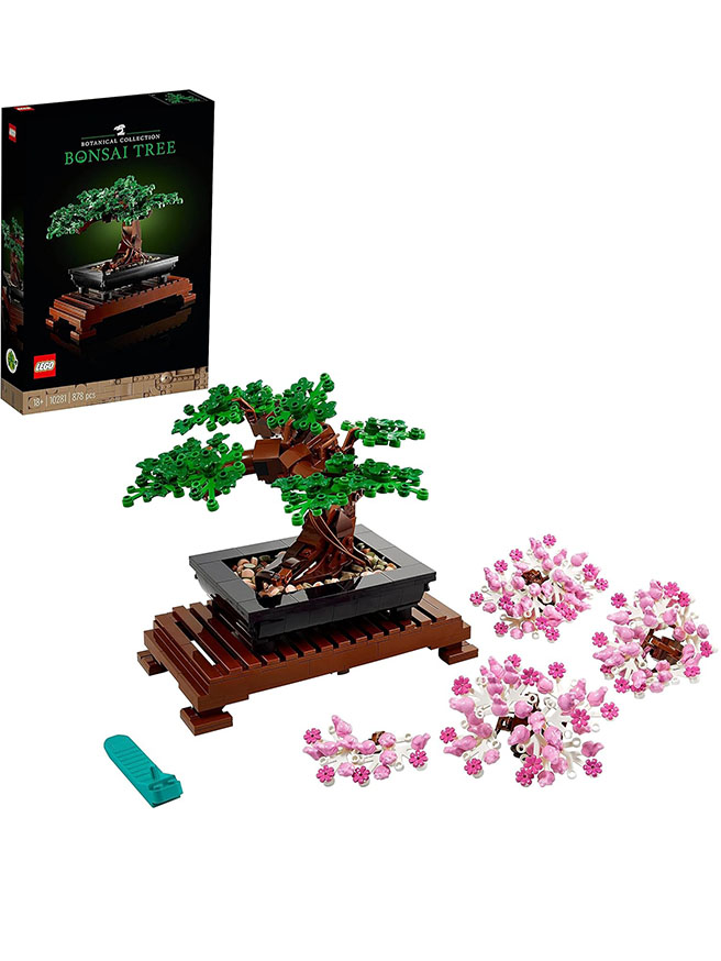 LEGO Botanicals Bonsai Ağacı - 878 Parça (10281) — görsel 1